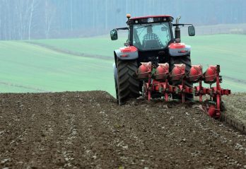 Branschspecifika trender